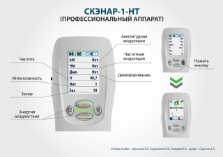 СКЭНАР-1-НТ (исполнение 01)  в Березники купить Медицинская техника - denasosteo.ru 