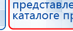 СКЭНАР-1-НТ (исполнение 02.1) Скэнар Про Плюс купить в Березники, Аппараты Скэнар купить в Березники, Медицинская техника - denasosteo.ru